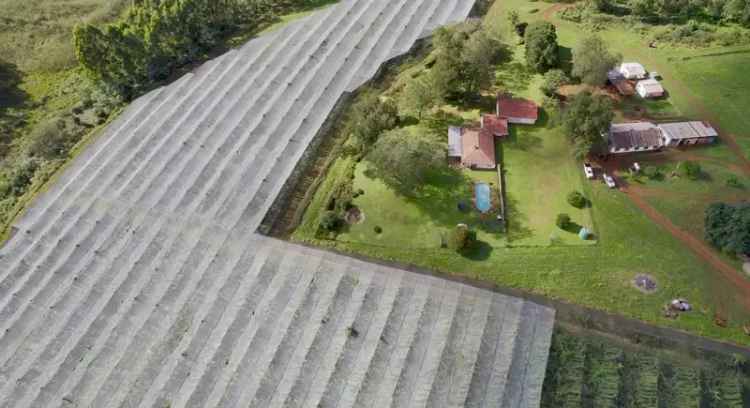 97Ha Farm For Sale in Baynesfield - Productive Kiwi & Vegetable Farm